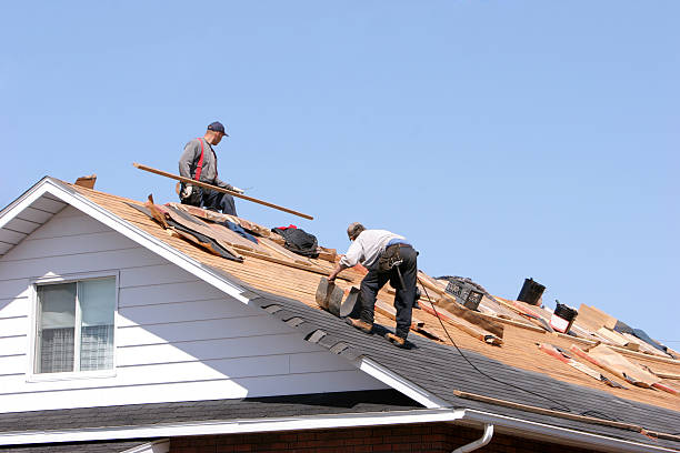 Best Green or Eco-Friendly Roofing Solutions  in Pen Argyl, PA